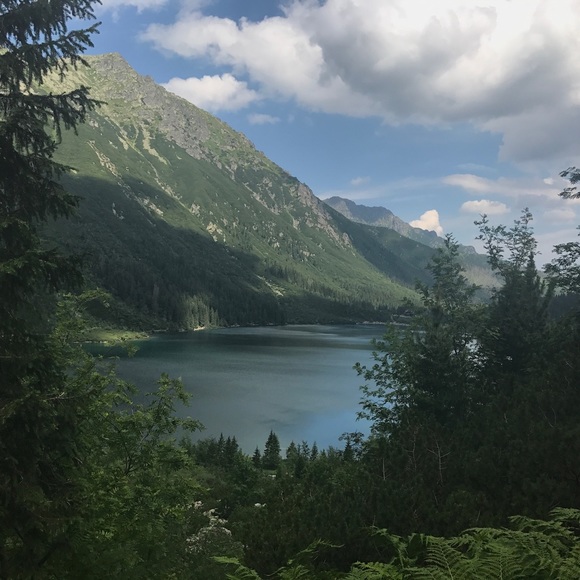 Meet your Posher, Julia - Picture 1 of 1